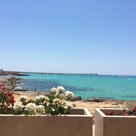 Maison *
